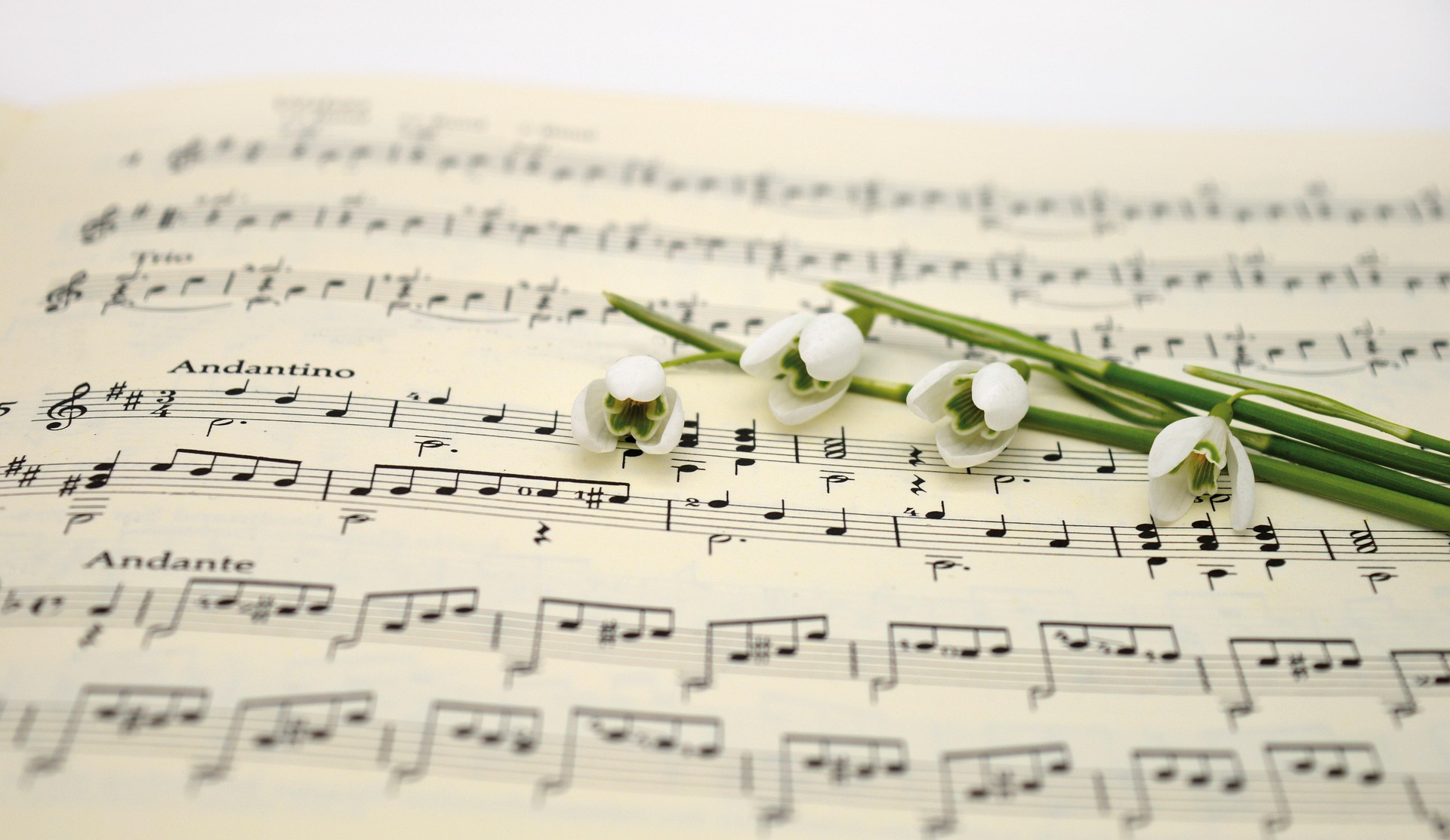Music Sheet with flowers